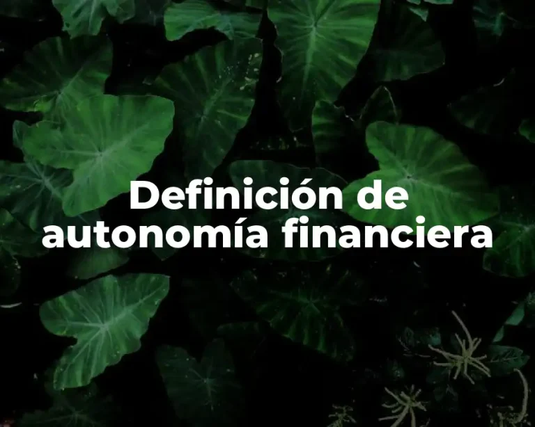 Definición de autonomía financiera