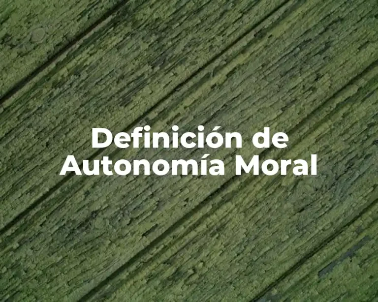 Definición de Autonomía Moral
