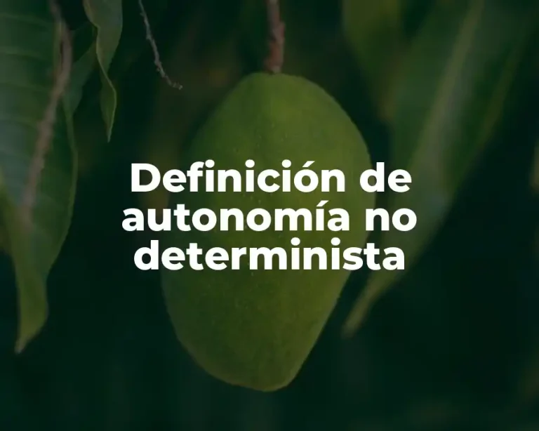 Definición de autonomía no determinista