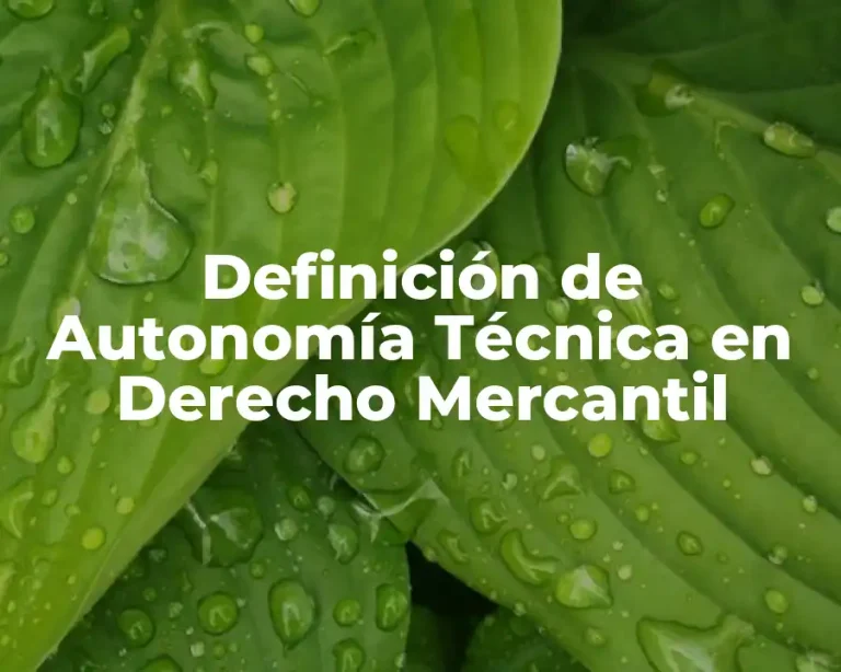 Definición de Autonomía Técnica en Derecho Mercantil