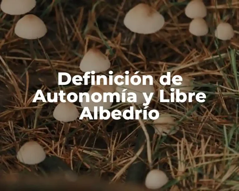 Definición de Autonomía y Libre Albedrío