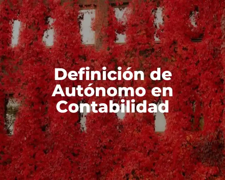Definición de Autónomo en Contabilidad