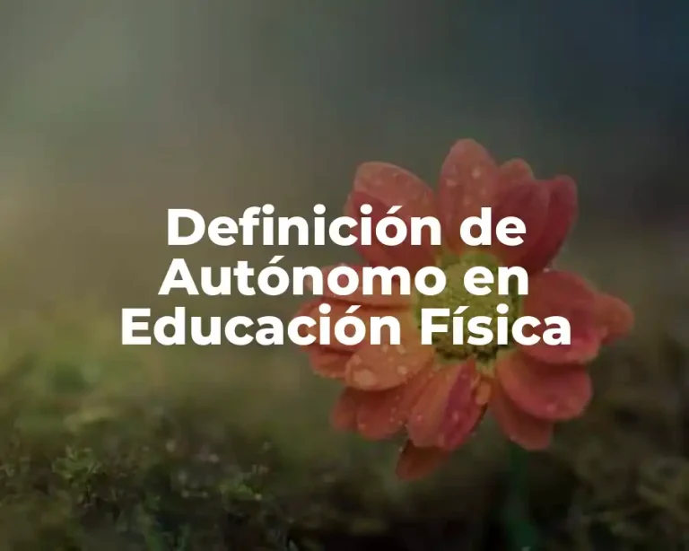 Definición de Autónomo en Educación Física