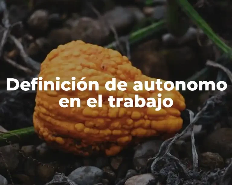 Definición de autonomo en el trabajo