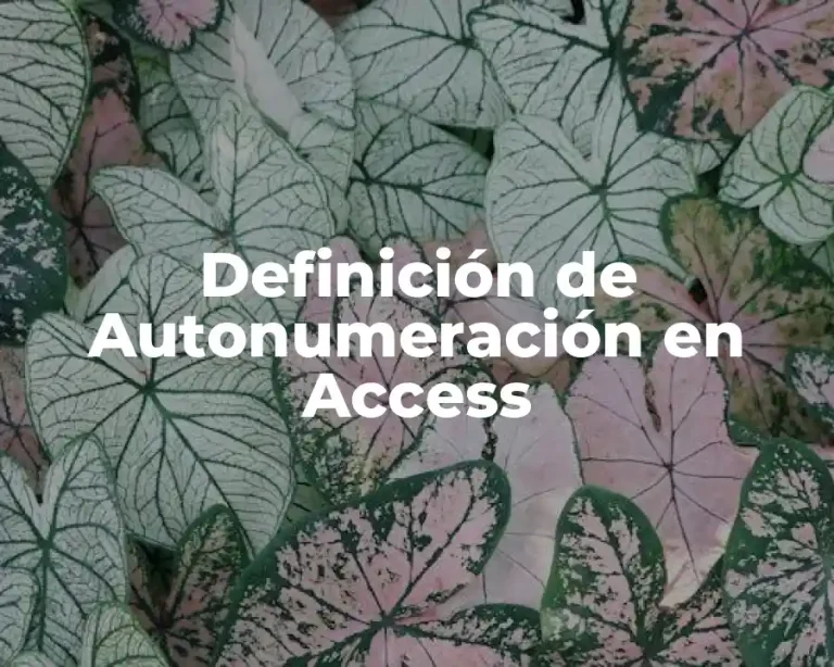Definición de Autonumeración en Access