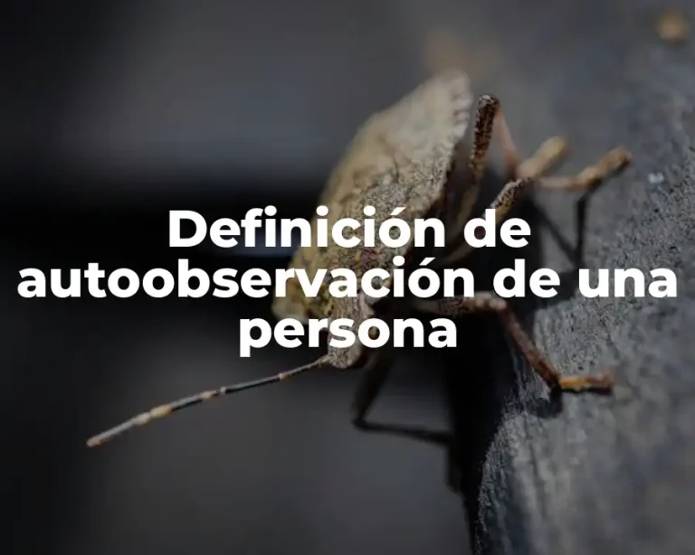Definición de autoobservación de una persona