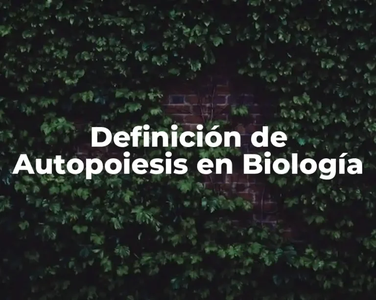 Definición de Autopoiesis en Biología