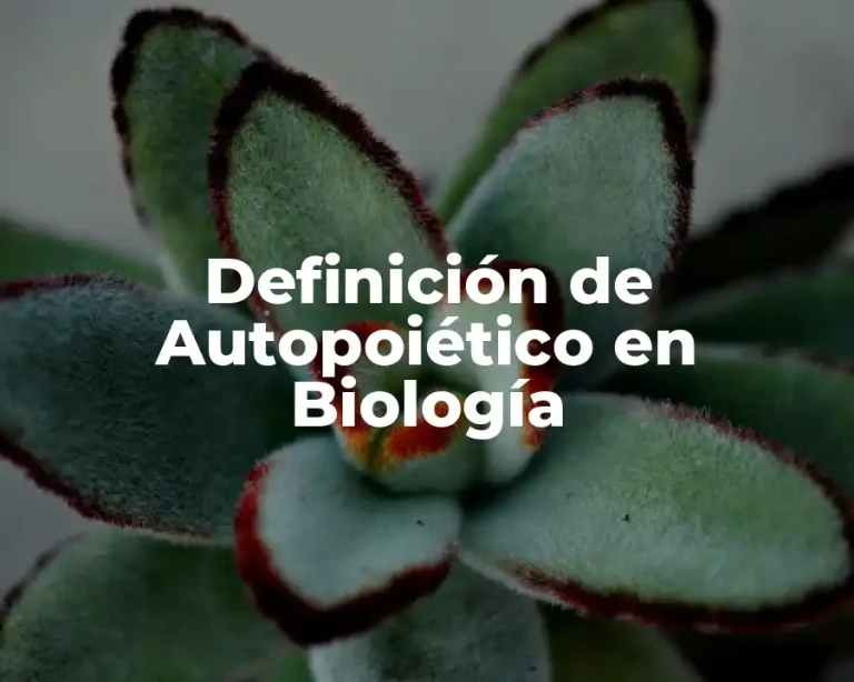 Definición de Autopoiético en Biología