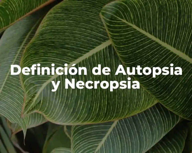 Definición de Autopsia y Necropsia