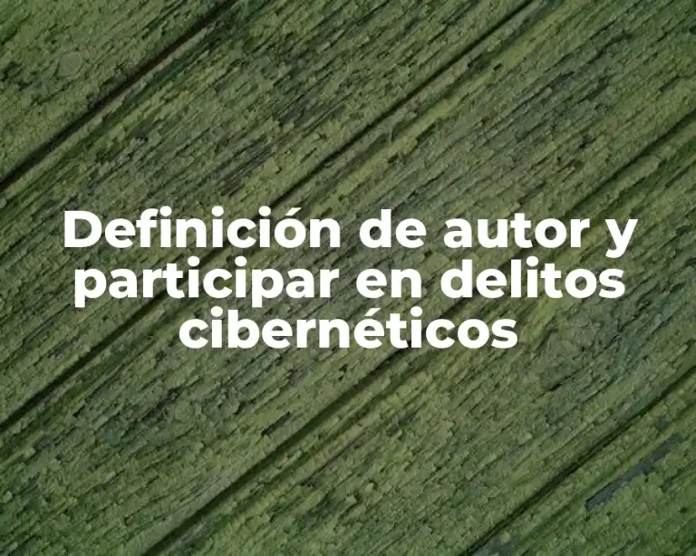 Definición de autor y participar en delitos cibernéticos