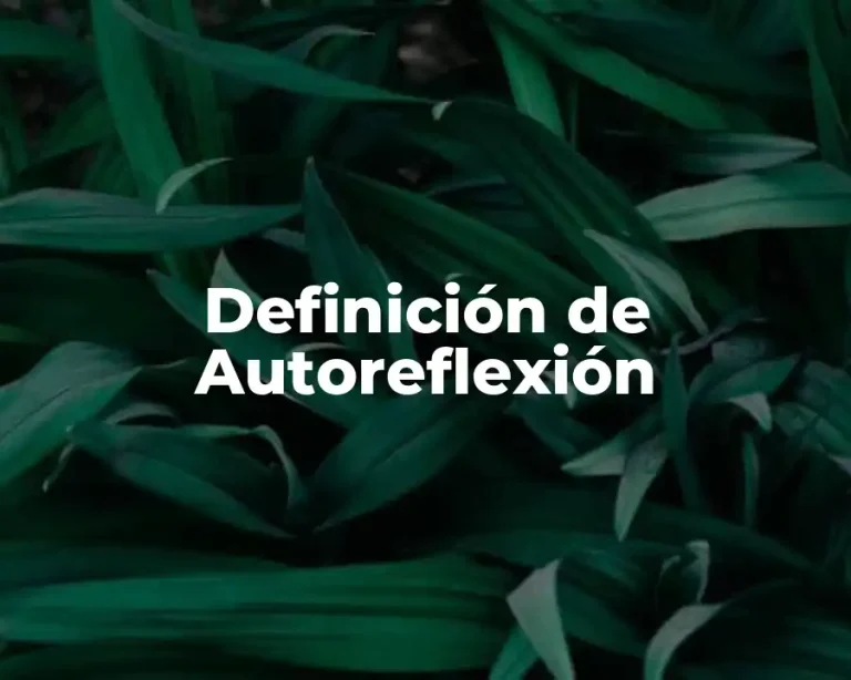 Definición de Autoreflexión