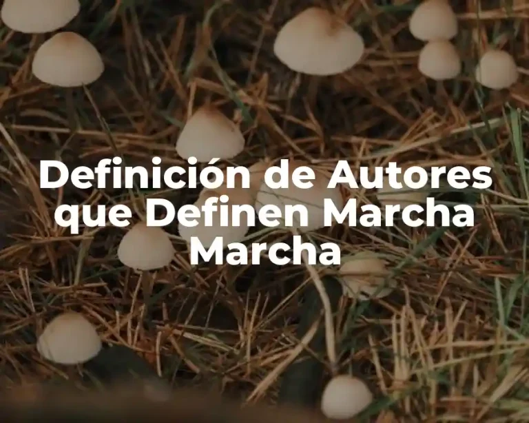 Definición de Autores que Definen Marcha Marcha