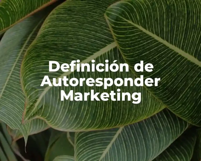 Definición de Autoresponder Marketing
