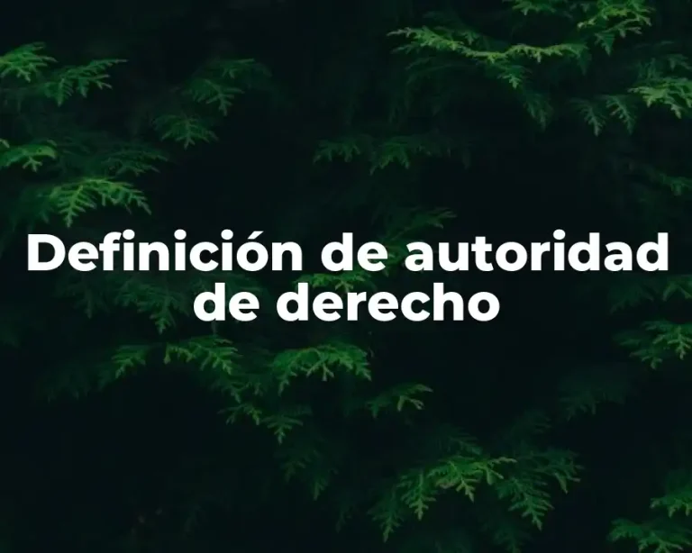 Definición de autoridad de derecho