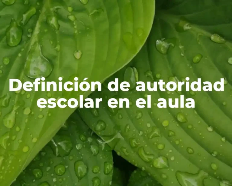 Definición de autoridad escolar en el aula