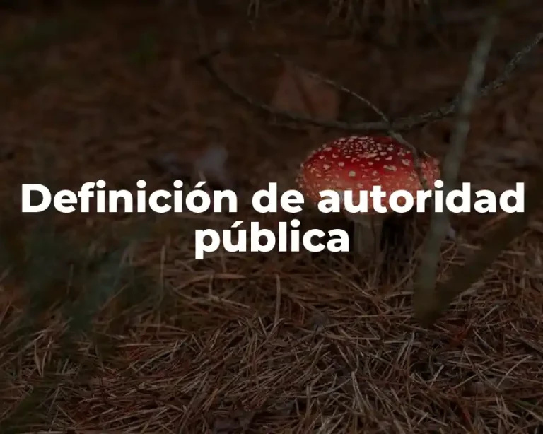 Definición de autoridad pública