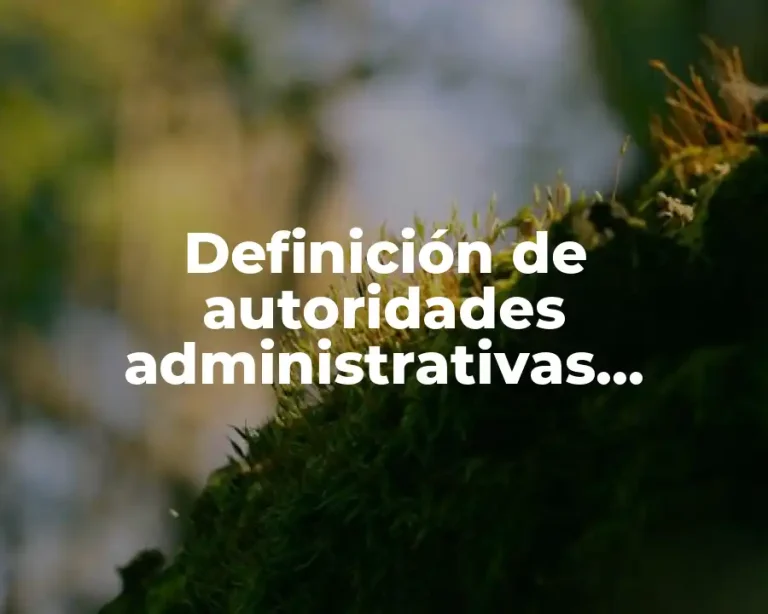 Definición de autoridades administrativas federales