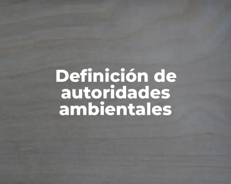 Definición de autoridades ambientales
