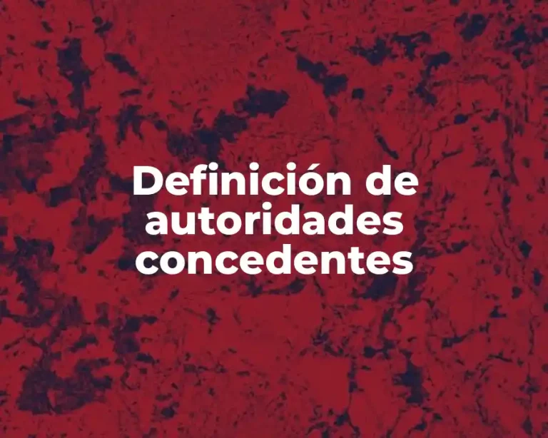 Definición de autoridades concedentes