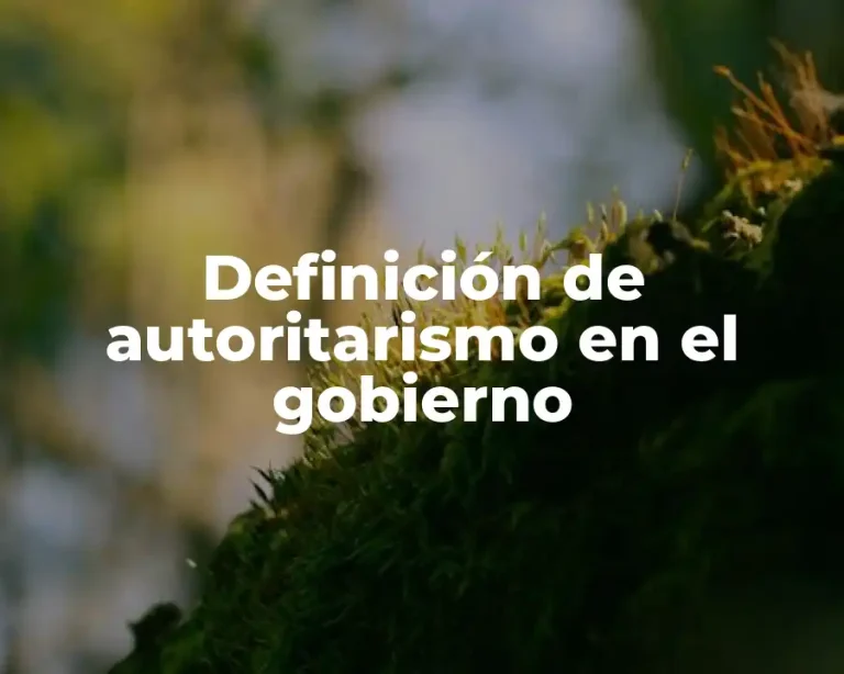 Definición de autoritarismo en el gobierno