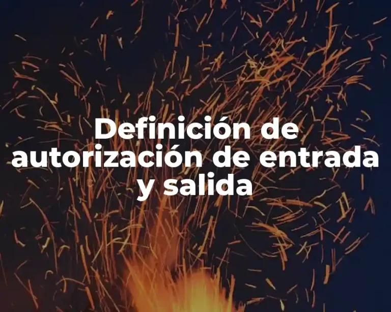 Definición de autorización de entrada y salida