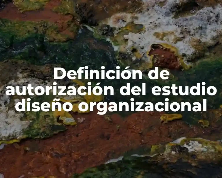 Definición de autorización del estudio diseño organizacional
