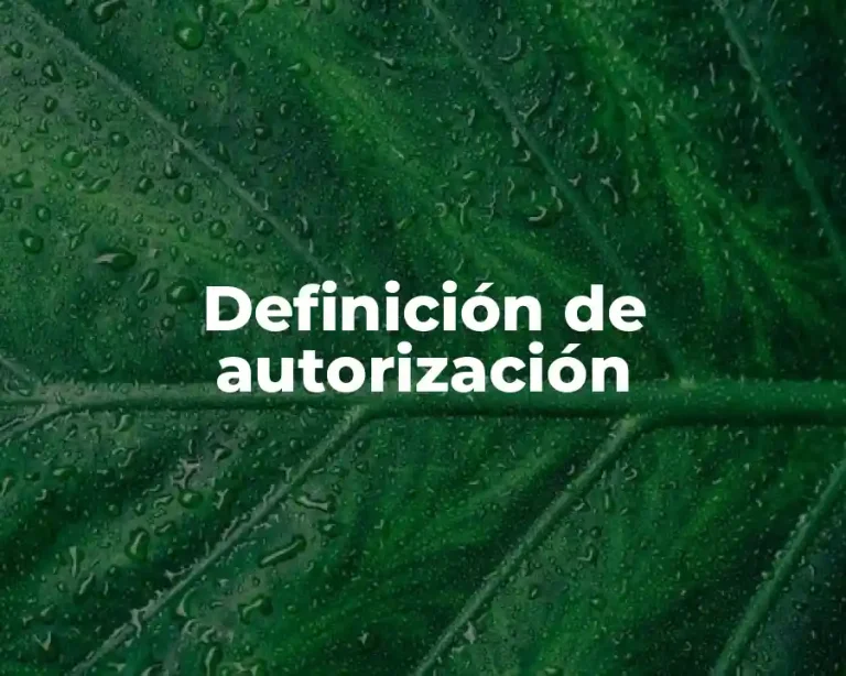 Definición de autorización