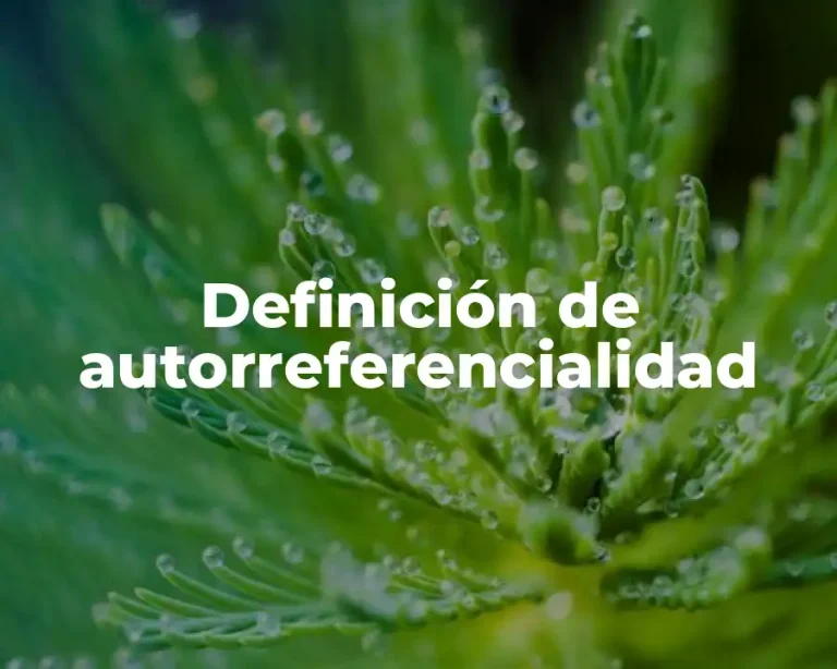 Definición de autorreferencialidad