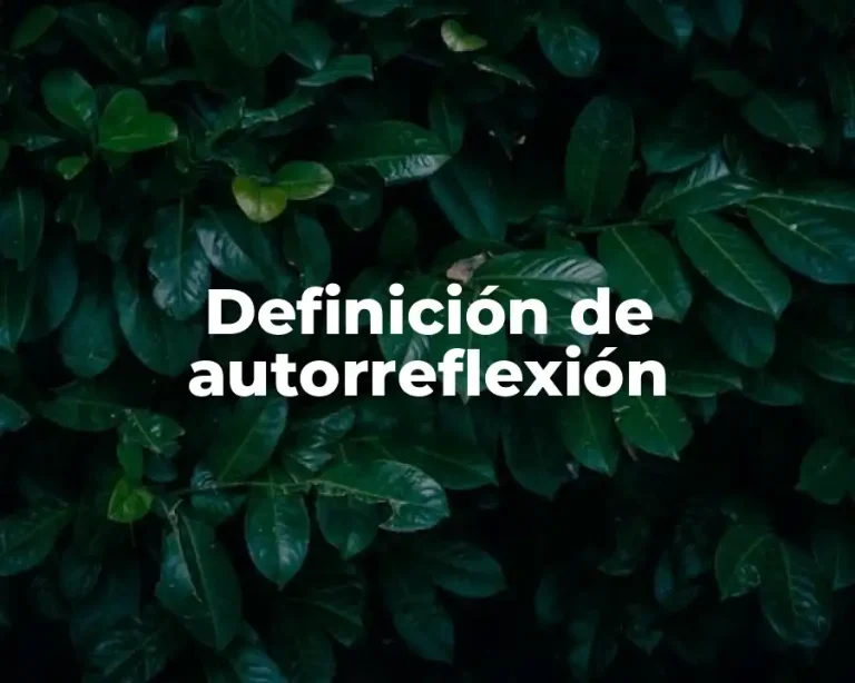 Definición de autorreflexión