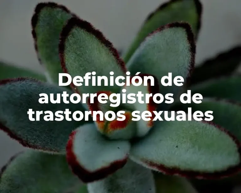 Definición de autorregistros de trastornos sexuales