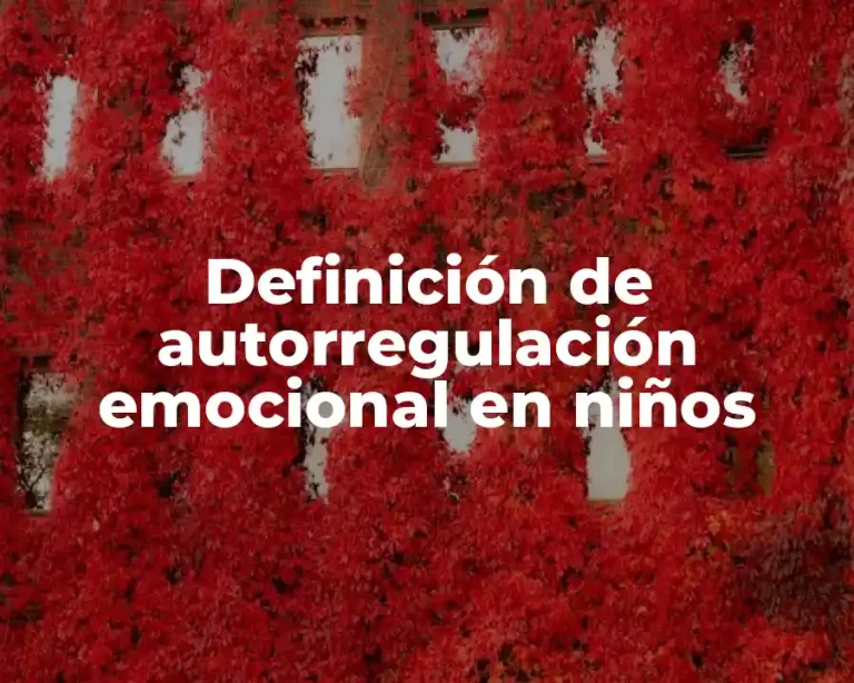 Definición de autorregulación emocional en niños