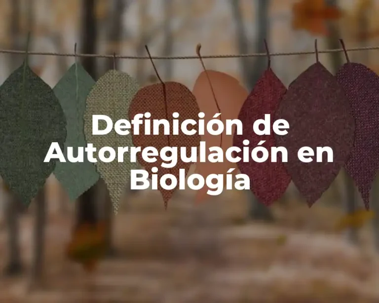 Definición de Autorregulación en Biología