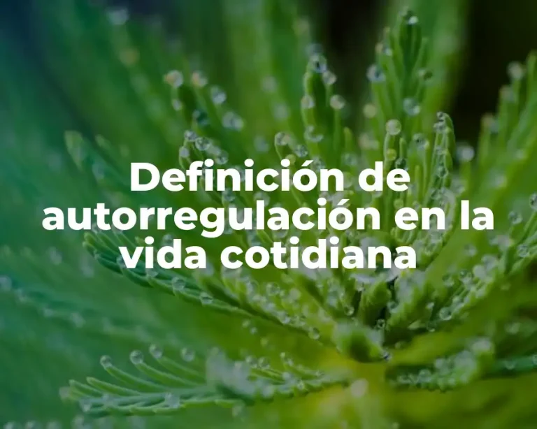 Definición de autorregulación en la vida cotidiana
