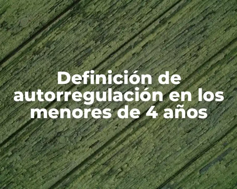 Definición de autorregulación en los menores de 4 años
