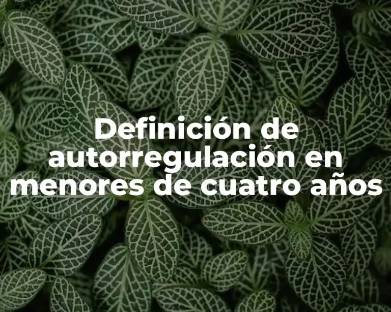 Definición de autorregulación en menores de cuatro años