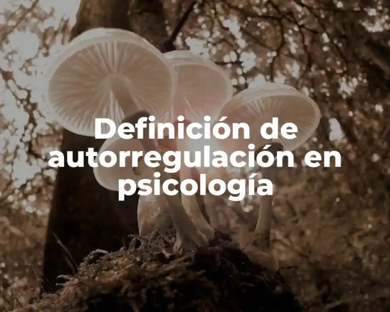 Definición de autorregulación en psicología