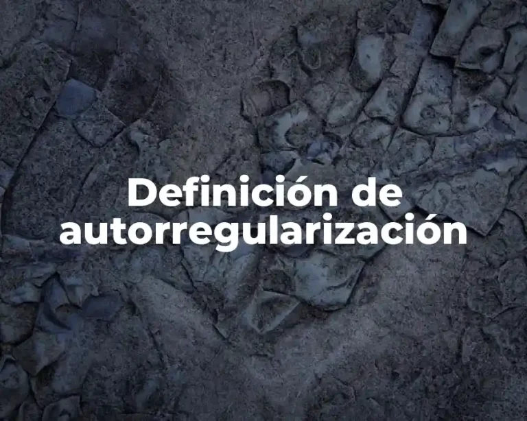 Definición de autorregularización