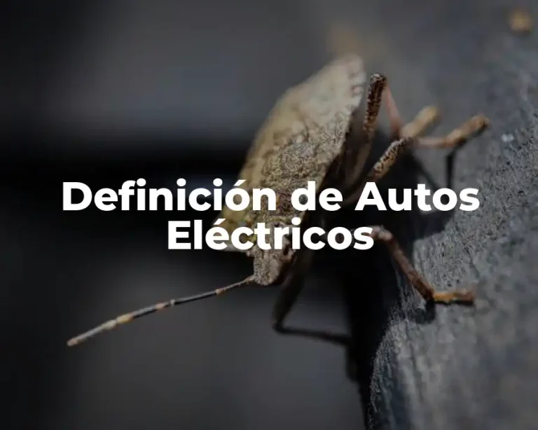 Definición de Autos Eléctricos