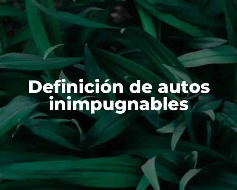 Definición de autos inimpugnables