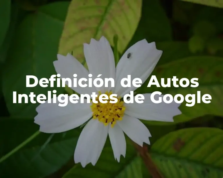 Definición de Autos Inteligentes de Google