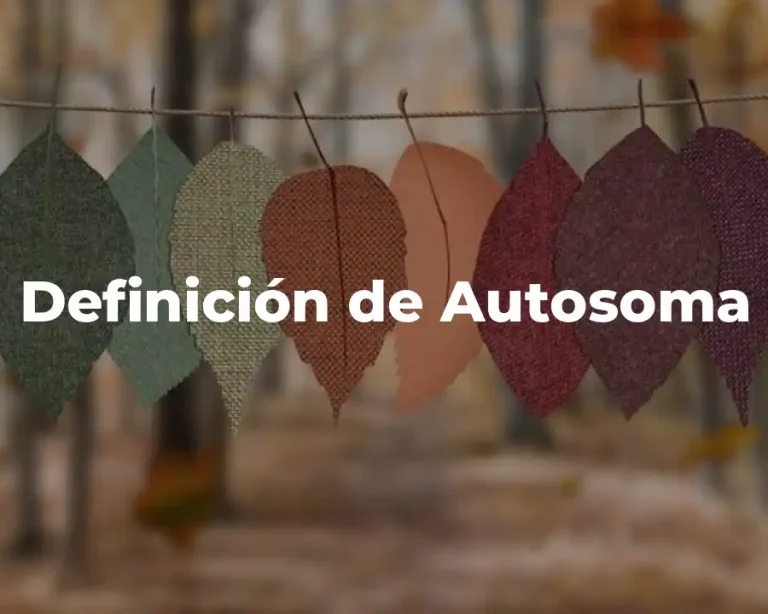 Definición de Autosoma
