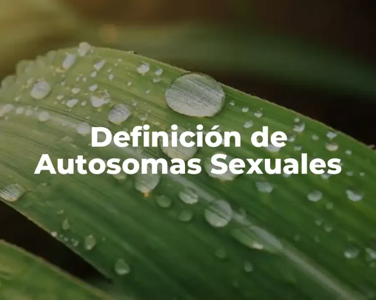 Definición de Autosomas Sexuales