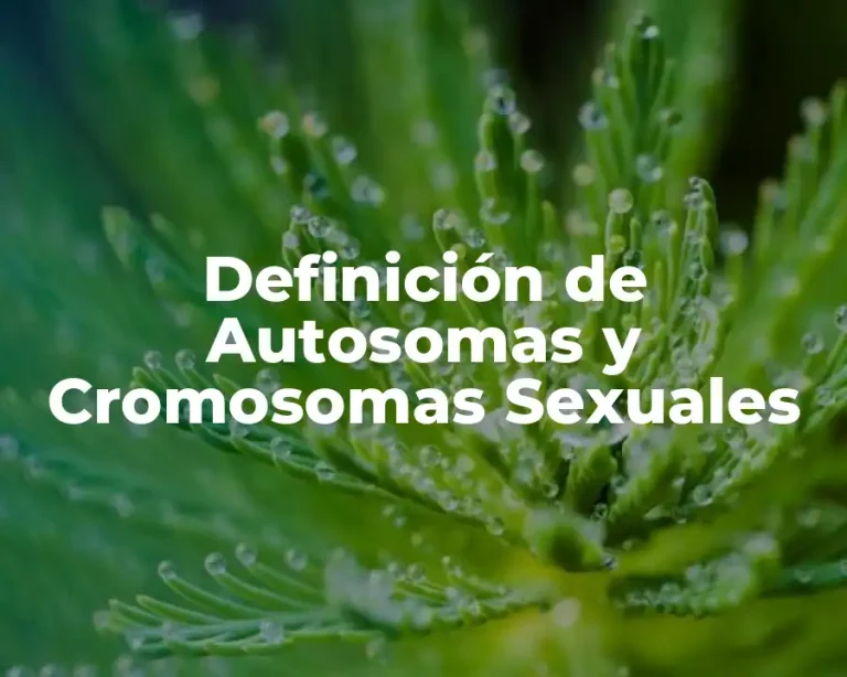 Definición de Autosomas y Cromosomas Sexuales