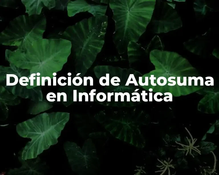Definición de Autosuma en Informática