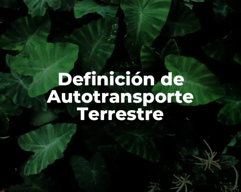 Definición de Autotransporte Terrestre