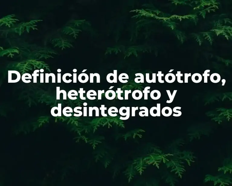 Definición de autótrofo, heterótrofo y desintegrados
