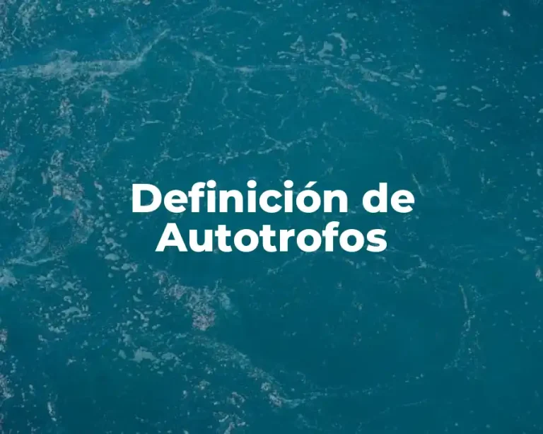 Definición de Autotrofos