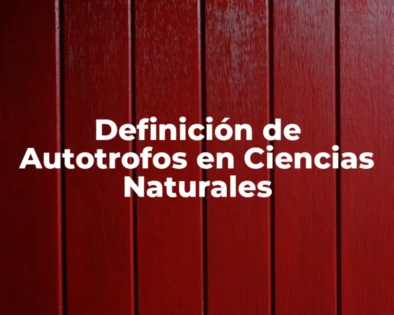 Definición de Autotrofos en Ciencias Naturales