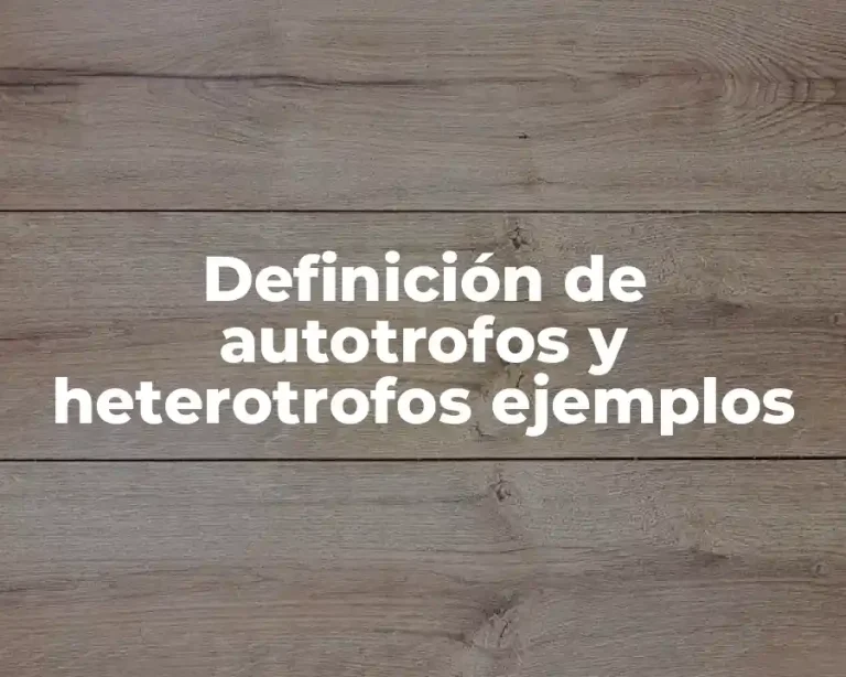 Definición de autotrofos y heterotrofos ejemplos