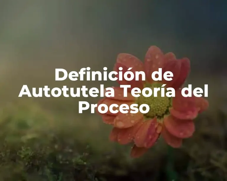 Definición de Autotutela Teoría del Proceso